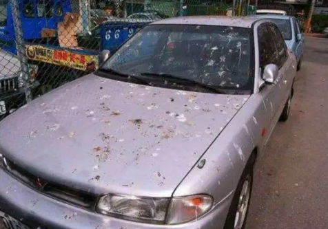 1600162505207241.png 微信圖片_20200915173338.png